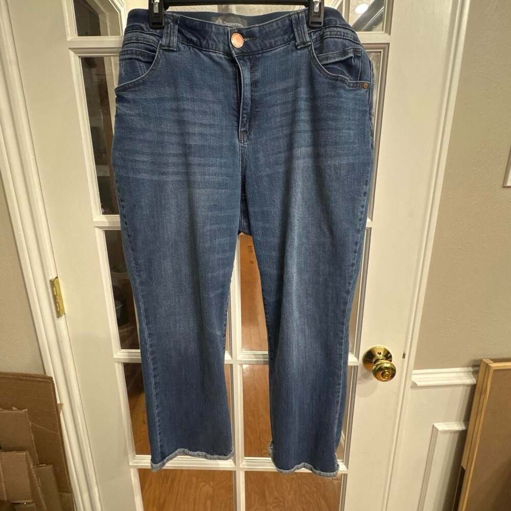 Democracy Ab-Solution High-Rise Jeans Size 18W
